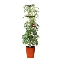 Tomatentoren Met Bewateringssysteem - 150 Cm -Tuinadvies Verkoop 1519073837 2 600