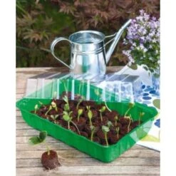 Zaaischaal Met Deksel 36 × 22 × 13 Cm -Tuinadvies Verkoop 1552249425 1 600