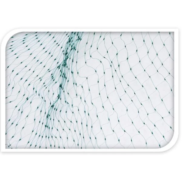 Tuinnet Fijnmazig - 4 × 5 M Groen 2 Tuinnet Fijnmazig - 4 × 5 M Groen - Afbeelding 2