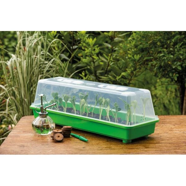 Broeikas Romberg L - 58 × 19 × 19 Cm 3 Broeikas Romberg L - 58 × 19 × 19 Cm - Afbeelding 3