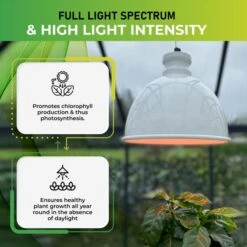 Groeilamp Led Florabooster 500 - 6,5W - Wit 9 Groeilamp Led Florabooster 500 - 6,5W - Wit -Tuinadvies Verkoop 1677504263 4 600