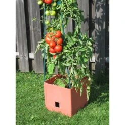 Plantentoren Maxitom Met Waterreservoir - Terracotta -Tuinadvies Verkoop 1677510667 3 600