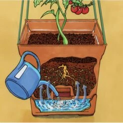 Plantentoren Maxitom Met Waterreservoir - Terracotta -Tuinadvies Verkoop 1677510668 5 600