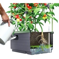 Kweekbak City Jungle Basic Met Klimframe -Tuinadvies Verkoop 1677572003 2 600