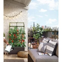 Kweekbak City Jungle Basic Met Klimframe -Tuinadvies Verkoop 1677572004 4 600