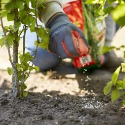 Compo Turbo Hagen - 4 Kg -Tuinadvies Verkoop 1709217573 3 600