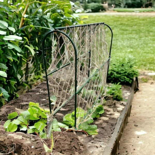 Hoepel Voor Erwten - 100 X 30 X 100 Cm 2 Hoepel Voor Erwten - 100 X 30 X 100 Cm - Afbeelding 2