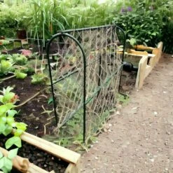 Hoepel Voor Erwten - 100 X 30 X 100 Cm 5 Hoepel Voor Erwten - 100 X 30 X 100 Cm -Tuinadvies Verkoop 1715685287 3 600