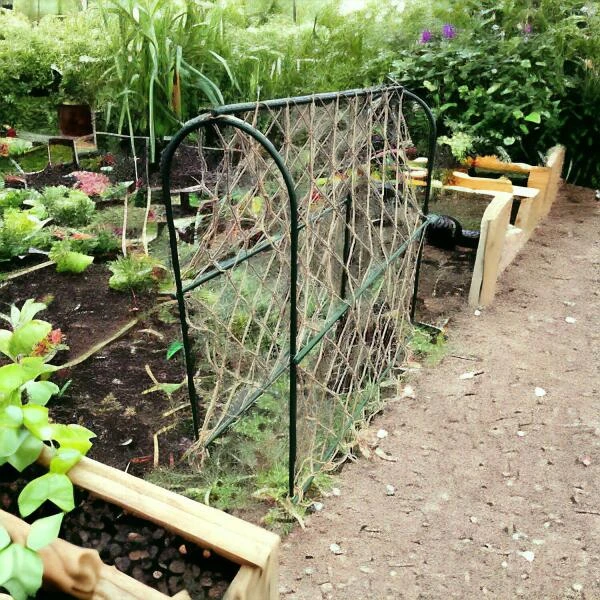 Hoepel Voor Erwten - 100 X 30 X 100 Cm 3 Hoepel Voor Erwten - 100 X 30 X 100 Cm - Afbeelding 3