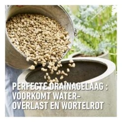 Compo Bio Granuplant Puimsteenkorrels - 25 L 7 Compo Bio Granuplant Puimsteenkorrels - 25 L -Tuinadvies Verkoop 1740472762 3 600
