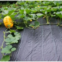 Gronddoek - Onkruidwerend 2 M × 5 M -Tuinadvies Verkoop antionkruiddoek 2 x 5 m 1511788904 1 600