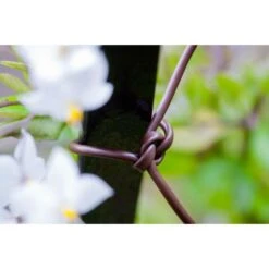 Bindbuis Elastisch Ø 2,5 Mm - Bruin 40 M 6 Bindbuis Elastisch Ø 2,5 Mm - Bruin 40 M -Tuinadvies Verkoop bindbuis bruin 135 g 1484066131 2 600