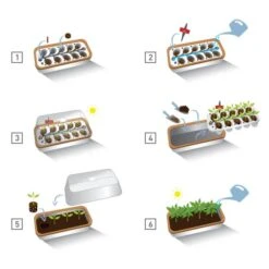 Binnenkas BoQube Plus Met Groelicht - 41 × 17 × 23 Cm -Tuinadvies Verkoop binnenkas boqube plus 41x17x23 cm 1653470738 1 600