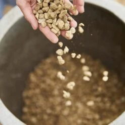 Compo Bio Granuplant Puimsteenkorrels - 40 L 8 Compo Bio Granuplant Puimsteenkorrels - 40 L -Tuinadvies Verkoop compo bio granuplant 40 l 1709199298 2 600