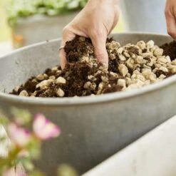 Compo Bio Granuplant Puimsteenkorrels - 40 L 11 Compo Bio Granuplant Puimsteenkorrels - 40 L -Tuinadvies Verkoop compo bio granuplant 40 l 1709199299 5 600