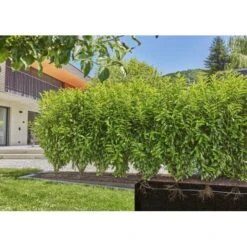 Gardena Micro-Drip-Bewatering Heggen/struiken Set - 50 M -Tuinadvies Verkoop gardena mdb druppelbuis set 50 m 1683727538 4 600