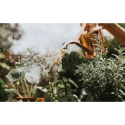 Haws Gieter 1 L - Koper 6 Haws Gieter 1 L - Koper -Tuinadvies Verkoop gieter haws 1 l koper 1659089480 2 600