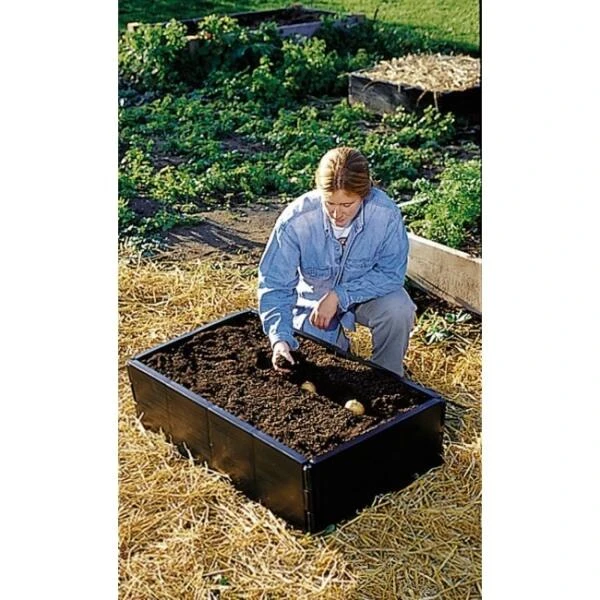 Groeibed 97,5 × 50 × 25 Cm 3 Groeibed 97,5 × 50 × 25 Cm - Afbeelding 3