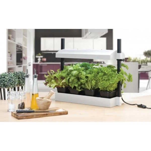 Groeilicht Met Kweekset - Wit 2 Groeilicht Met Kweekset - Wit - Afbeelding 2