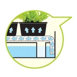 Groeilicht Met Kweekset - Wit 6 Groeilicht Met Kweekset - Wit -Tuinadvies Verkoop groeilicht met kweekset wit 1484067835 2 600