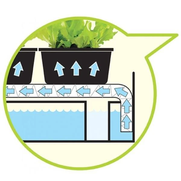 Groeilicht Met Kweekset - Zwart 3 Groeilicht Met Kweekset - Zwart - Afbeelding 3