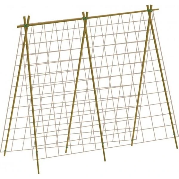 Groeinet Bonen En Erwten 1,8 × 1,8 M 1 Groeinet Bonen En Erwten 1,8 × 1,8 M