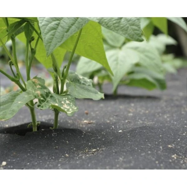 Gronddoek Vilt Met Openingen Voor Sla En Bonen - 60 Cm × 5 M 2 Gronddoek Vilt Met Openingen Voor Sla En Bonen - 60 Cm × 5 M - Afbeelding 2