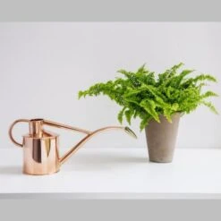 Haws Giftbox Gieter En Vernevelaar - Koper 5 Haws Giftbox Gieter En Vernevelaar - Koper -Tuinadvies Verkoop haws giftbox koper 1485175232 0 600