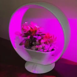Mini Tuin Jardin Secret Met Verlichting En Bluetooth - Rond -Tuinadvies Verkoop jardin secret met bluetooth rond 1602065218 3 600