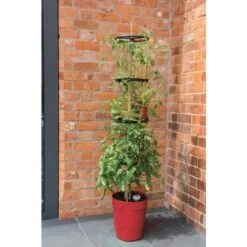 Tomatentoren Met Bewateringssysteem - 150 Cm -Tuinadvies Verkoop klimplantentoren met bewateringssysteem 1519074088 1 600