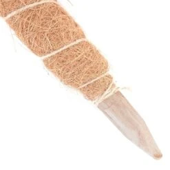 Kokos Kamerplantensteun - Plantstok Ø 45 Mm × 1,5 M -Tuinadvies Verkoop kokos plantstok 45 mm x 15 m 1622714996 3 600