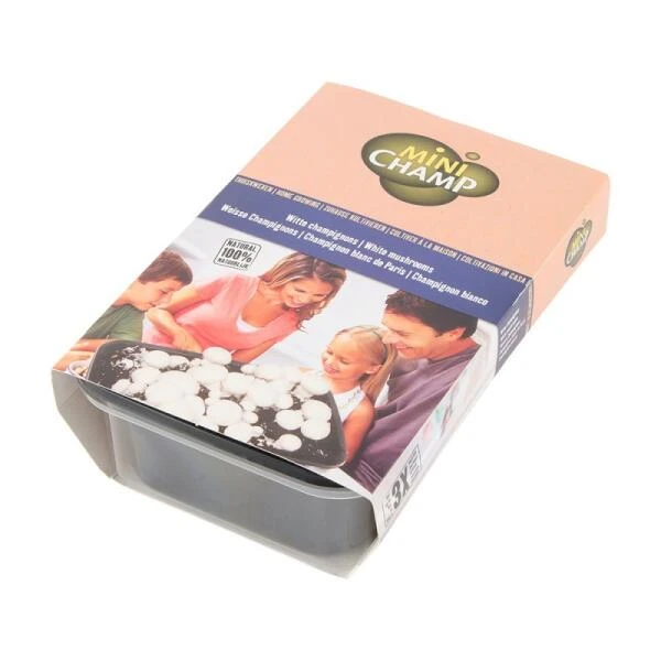 Kweekset 3 Liter Witte Champignons 2 Kweekset 3 Liter Witte Champignons - Afbeelding 2