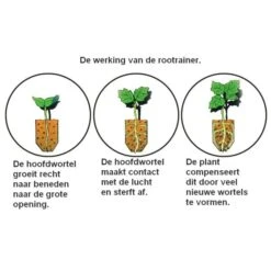Kweektray Compact Rapid Root - 20 Cellen -Tuinadvies Verkoop kweektray rapid root 20 cellen 1487680624 0 600