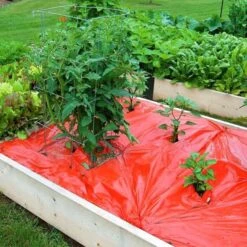 Rode Folie Voor Een Betere Plantengroei -Tuinadvies Verkoop mulchfolie 1577621986 1 600
