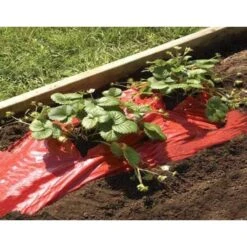 Rode Folie Voor Een Betere Plantengroei -Tuinadvies Verkoop mulchfolie rood aardbeien en tomaten 1492072043 1 600