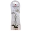Orchideeenclips Transparant - Set Van 2 Stuks