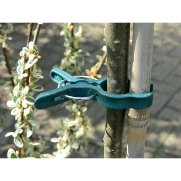 Plantenclips - Springclips Large - Set Van 5 Stuks 1 Plantenclips - Springclips Large - Set Van 5 Stuks