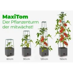 Plantentoren Maxitom Met Waterreservoir - Antraciet -Tuinadvies Verkoop plantentoren maxitom antraciet 1677571236 4 600