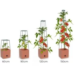 Plantentoren Maxitom Met Waterreservoir - Terracotta -Tuinadvies Verkoop plantentoren maxitom terracotta 1680165024 1 600