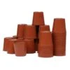 Kweekpotjes Rond Kunststof - 6 Cm - Set Van 40 Stuks