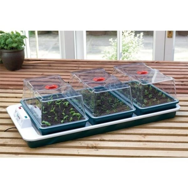 Reuzepropagator 3 Kweekkassen - Verwarmde Zaaibak 1 Reuzepropagator 3 Kweekkassen - Verwarmde Zaaibak