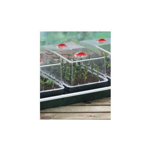 Reuzepropagator 3 Kweekkassen - Verwarmde Zaaibak 2 Reuzepropagator 3 Kweekkassen - Verwarmde Zaaibak - Afbeelding 2