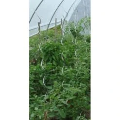 Tomatenspiralen - 170 Cm -Tuinadvies Verkoop tomatenspiralen 1484054760 3 600