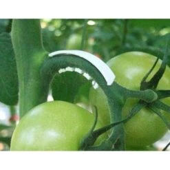 Tomaten Trossteun Wit - Set Van 100 Stuks -Tuinadvies Verkoop tomatentrossteunen 1484056718 3 600