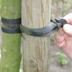 Tree-fix Boombinder 30 Cm/15 Mm - Set Van 10 Stuks -Tuinadvies Verkoop treefix boombinder 30 cm15 mm 1547129682 1 600