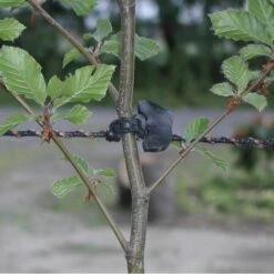 Tree-fix Boombinder 8 Cm - Set Van 50 Stuks -Tuinadvies Verkoop treefix boombinder 8 cm 1547125994 2 600