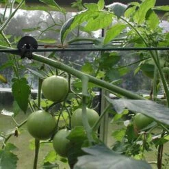 Tree-fix Boombinder 8 Cm - Set Van 50 Stuks -Tuinadvies Verkoop treefix boombinder 8 cm 1547125995 3 600