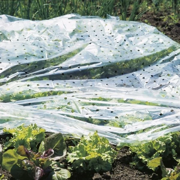 Tunnelfolie Geperforeerd - 1,5 × 10 M 1 Tunnelfolie Geperforeerd - 1,5 × 10 M