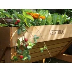 Vegtrug Verhoogde Kweektafel - 1 × 0,8 × 0,8 M 7 Vegtrug Verhoogde Kweektafel - 1 × 0,8 × 0,8 M -Tuinadvies Verkoop vegtrug 1 m 1484054491 4 600