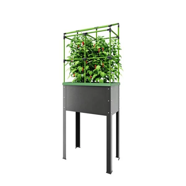 Verhoogd Kweekbak City Jungle Heidelberg Met Klimframe 1 Verhoogd Kweekbak City Jungle Heidelberg Met Klimframe